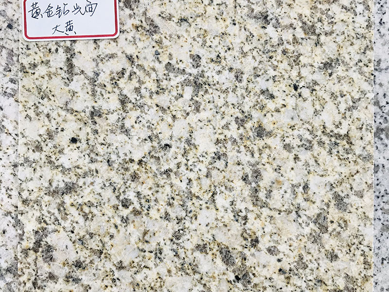 黄金钻光面大黄